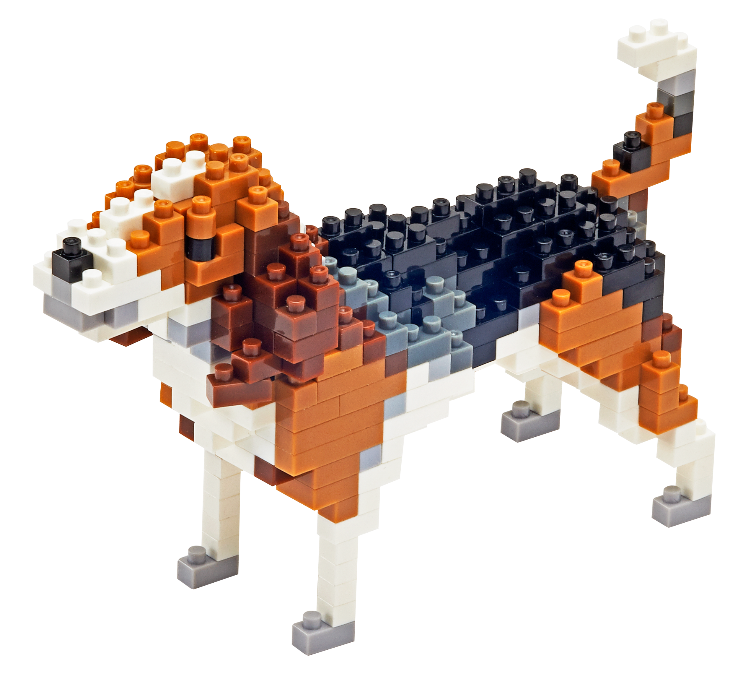 TICO Beagle