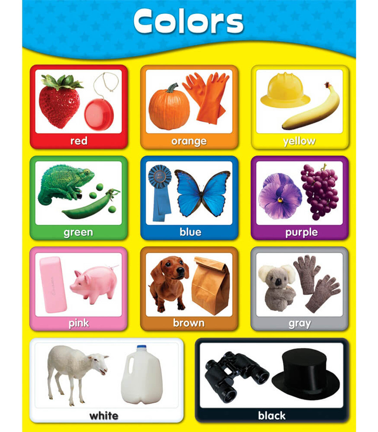 Colors Chart Grade PK-2
