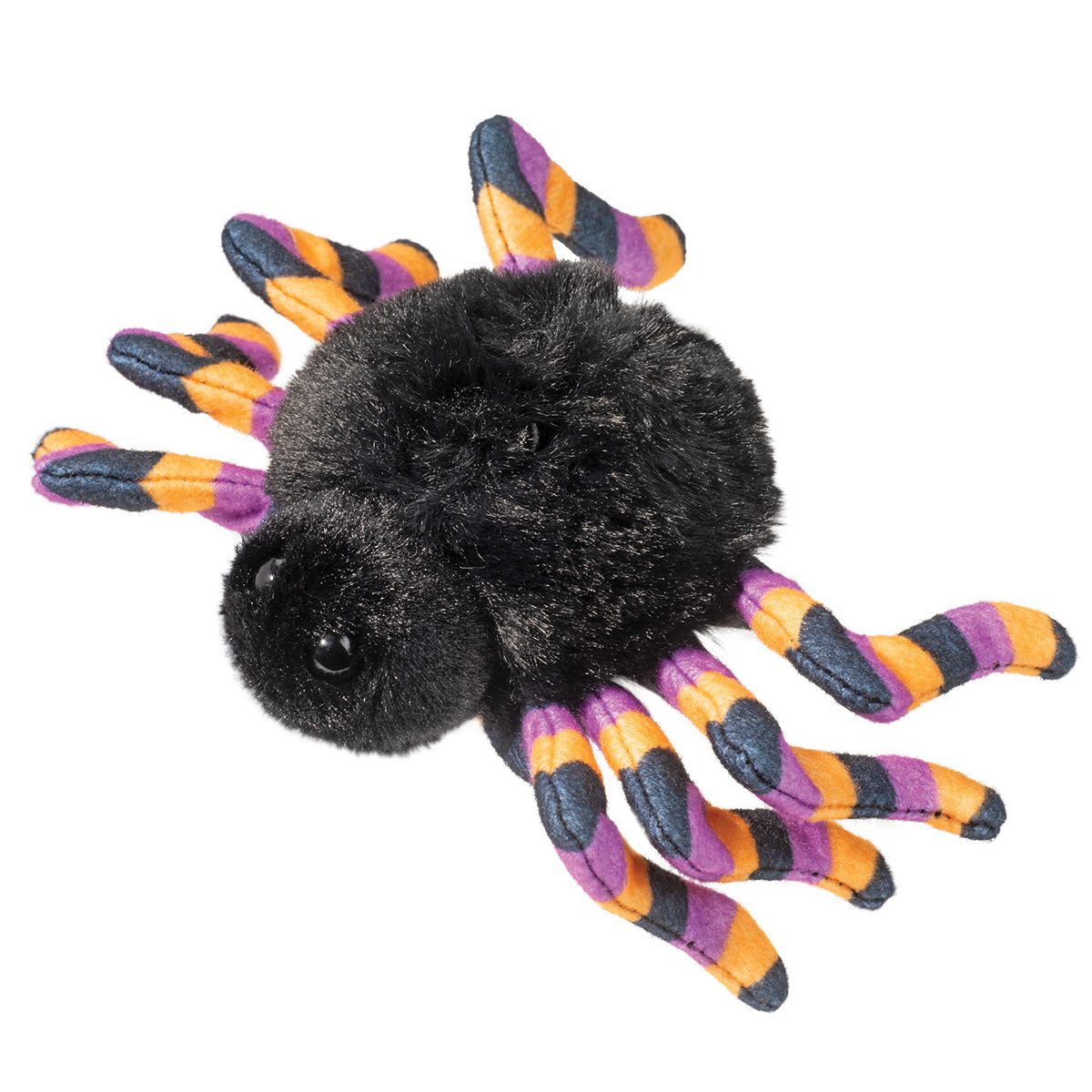 Spider w/ Striped Legs