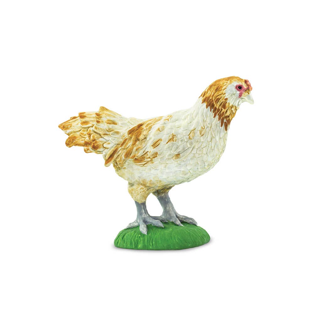 Ameraucana Chicken miniature