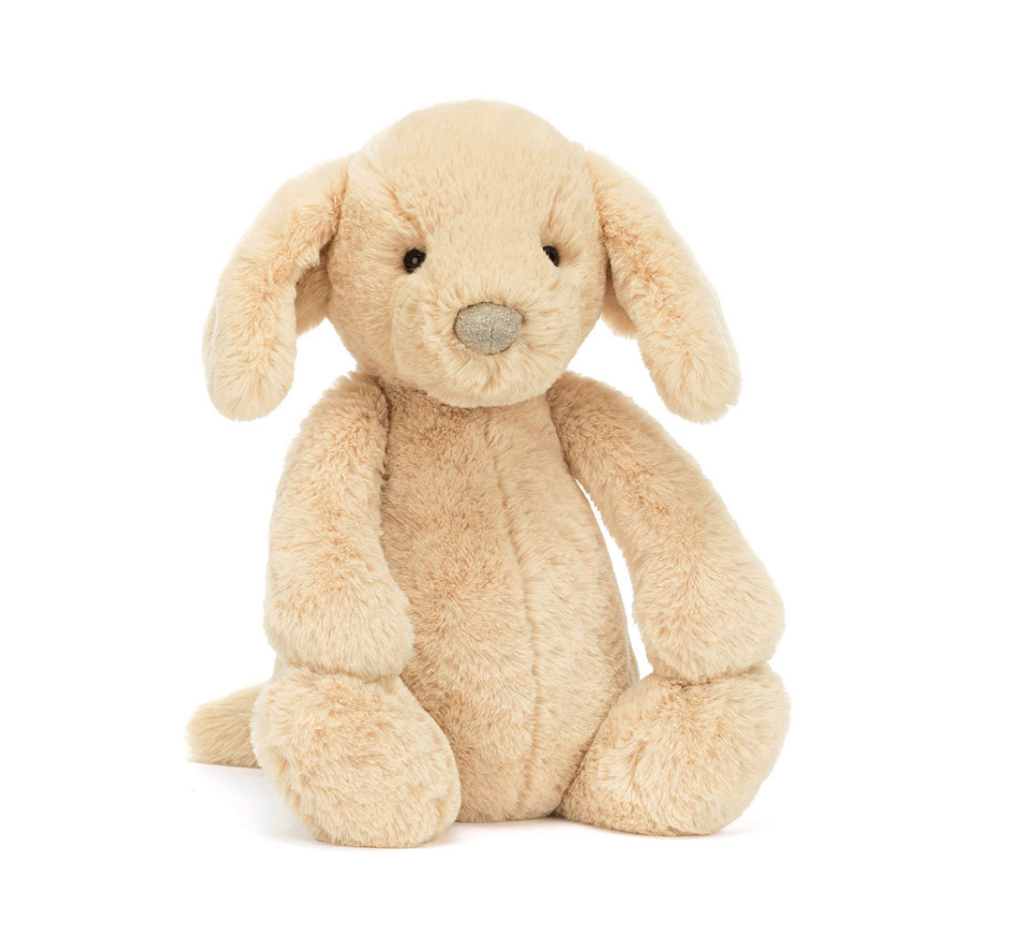Bashful Luxe Puppy Orlando