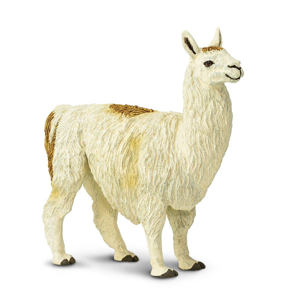 Miniature Llama