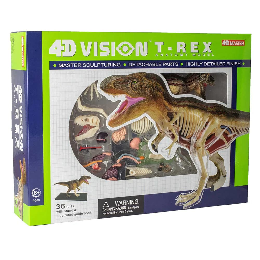 4D Vision T-Rex Anatomy Model