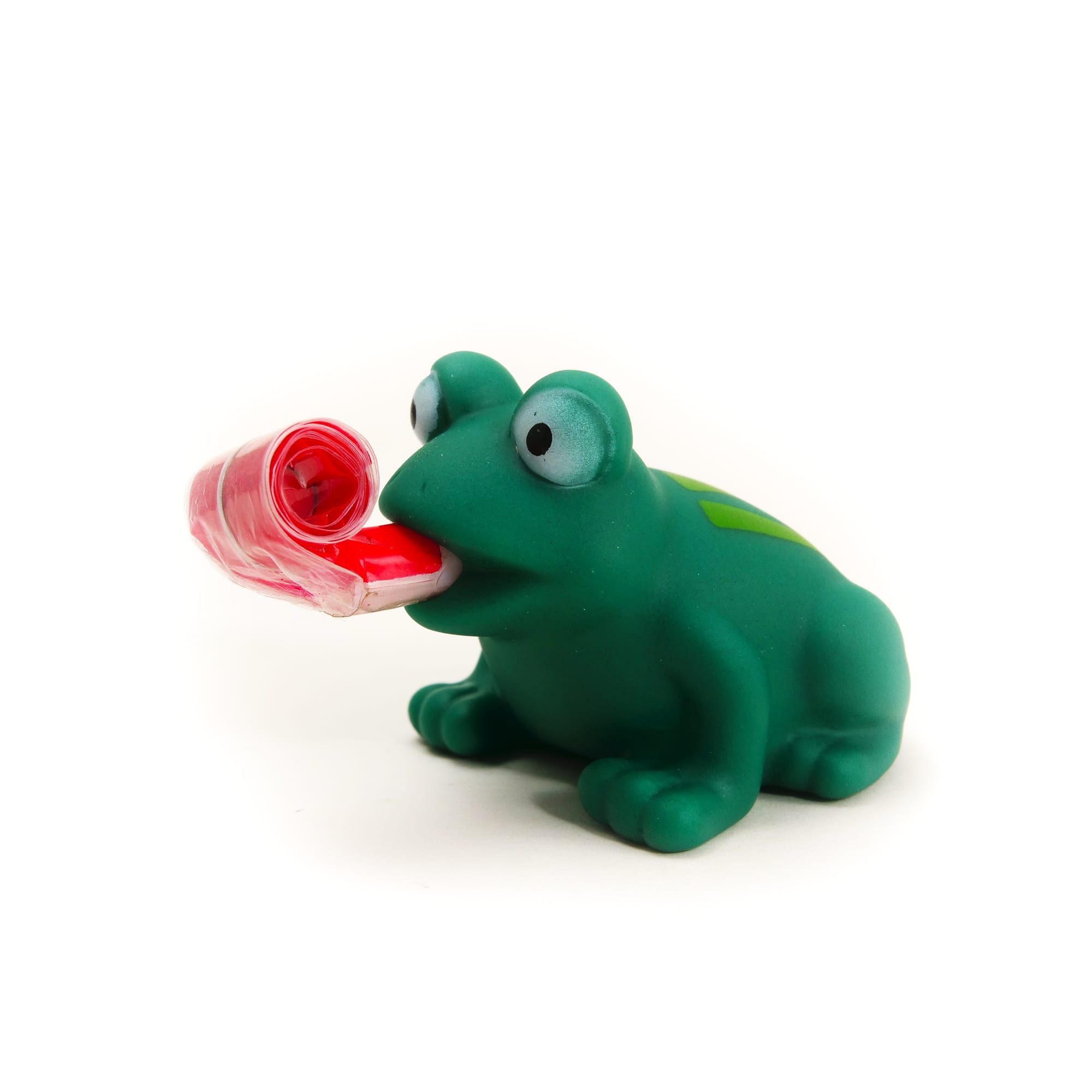 Long Tongue Frog