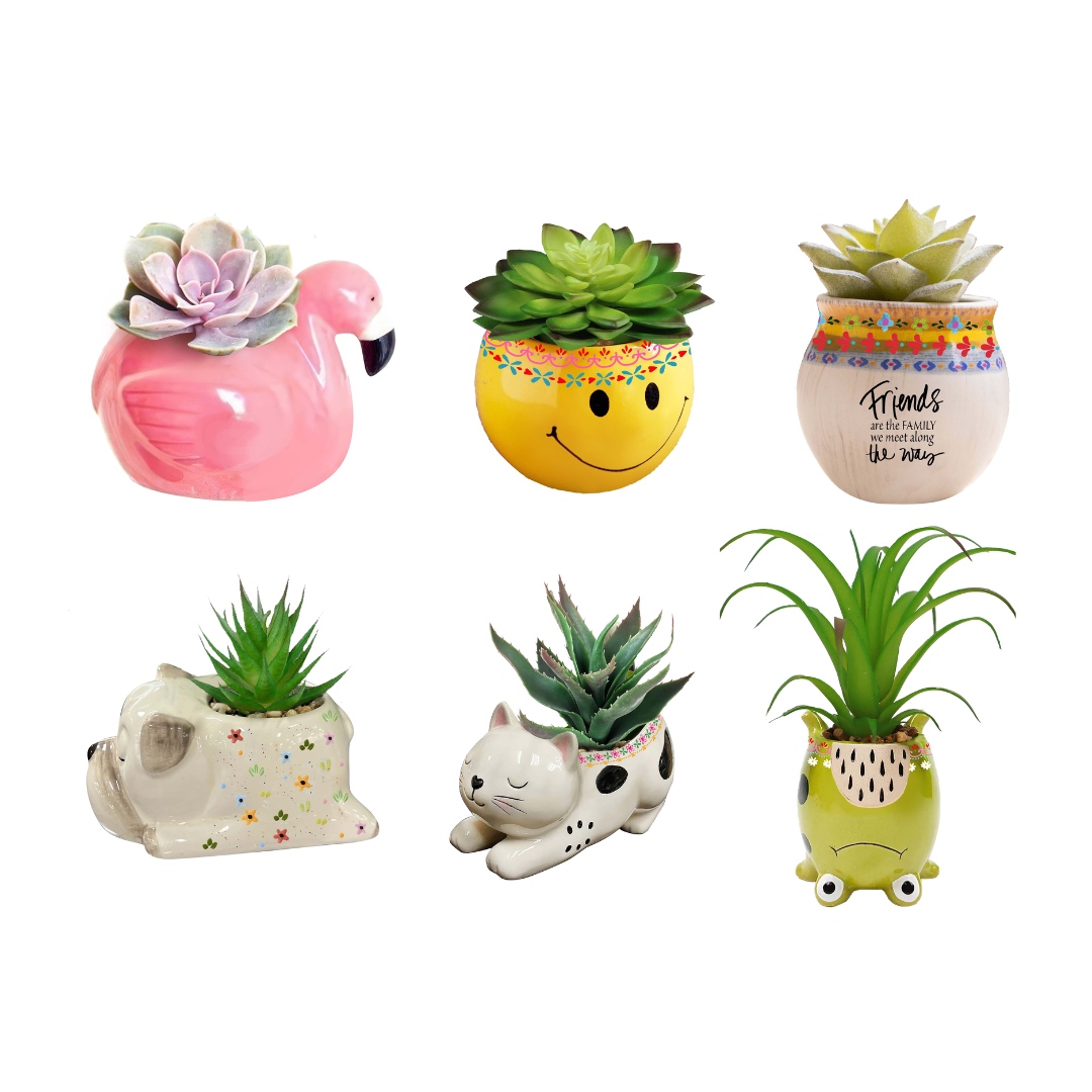 Sunny Smiles Faux Succulent
