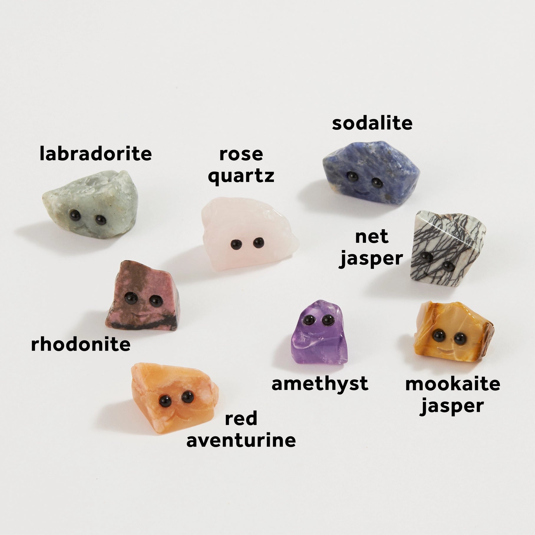 Assorted Pet Rock