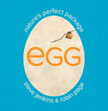 Egg: Nature's Perfect Package