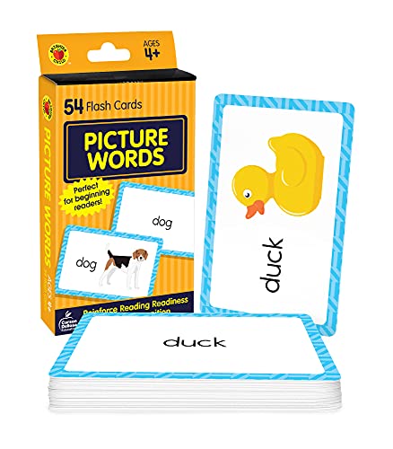 Carson Dellosa Picture Words Flash Cards