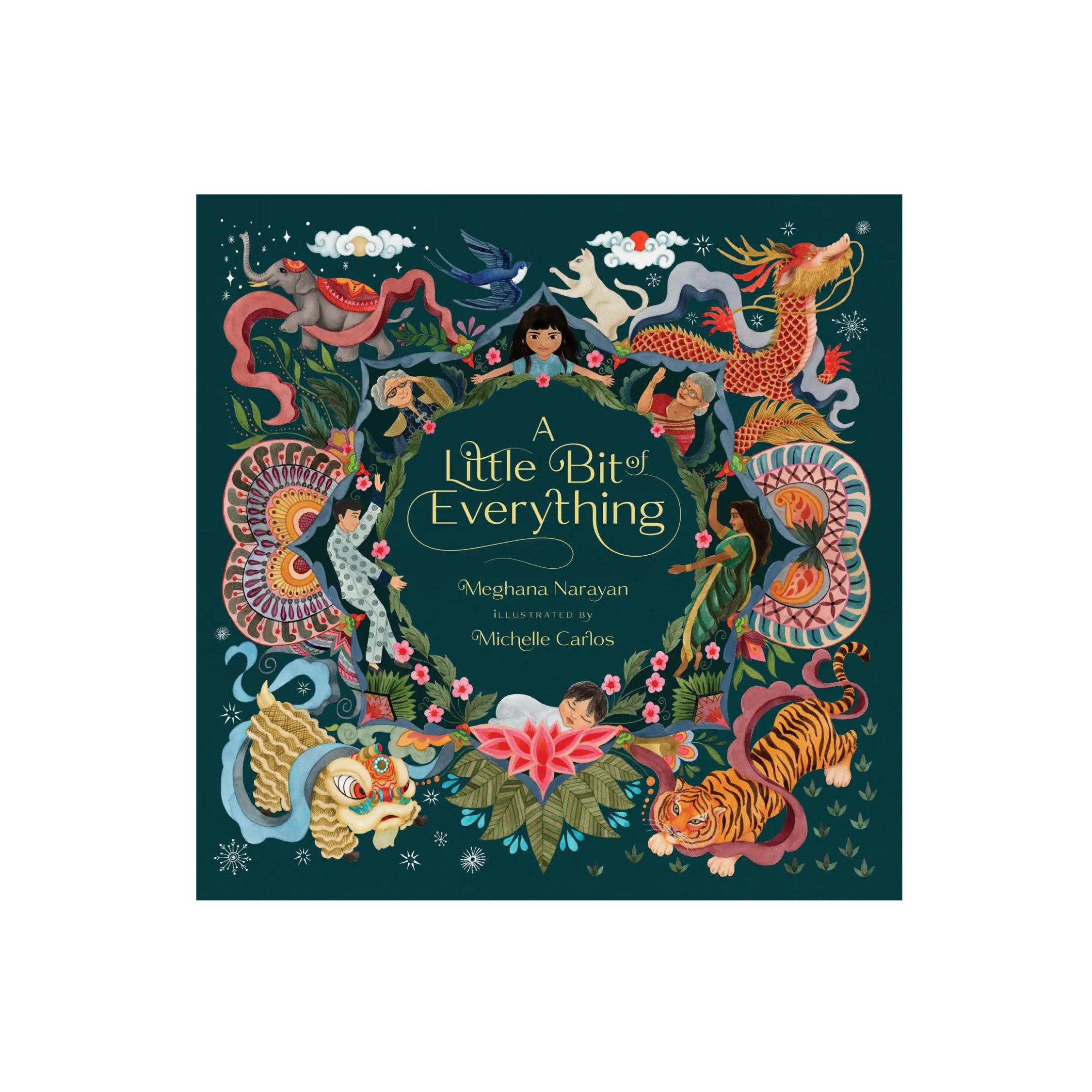 A Little Bit Of Everything Picture Book