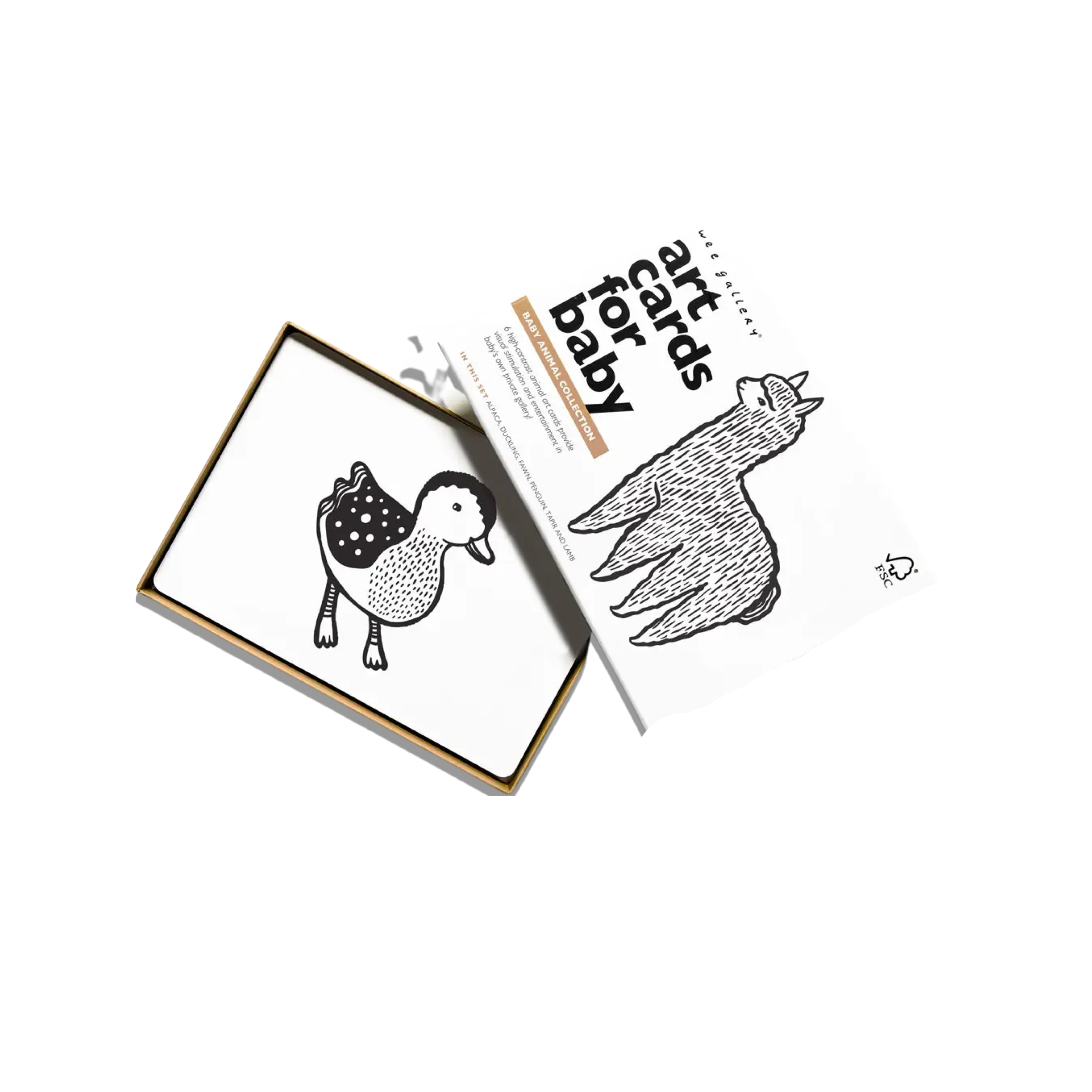 Art Cards For Baby
