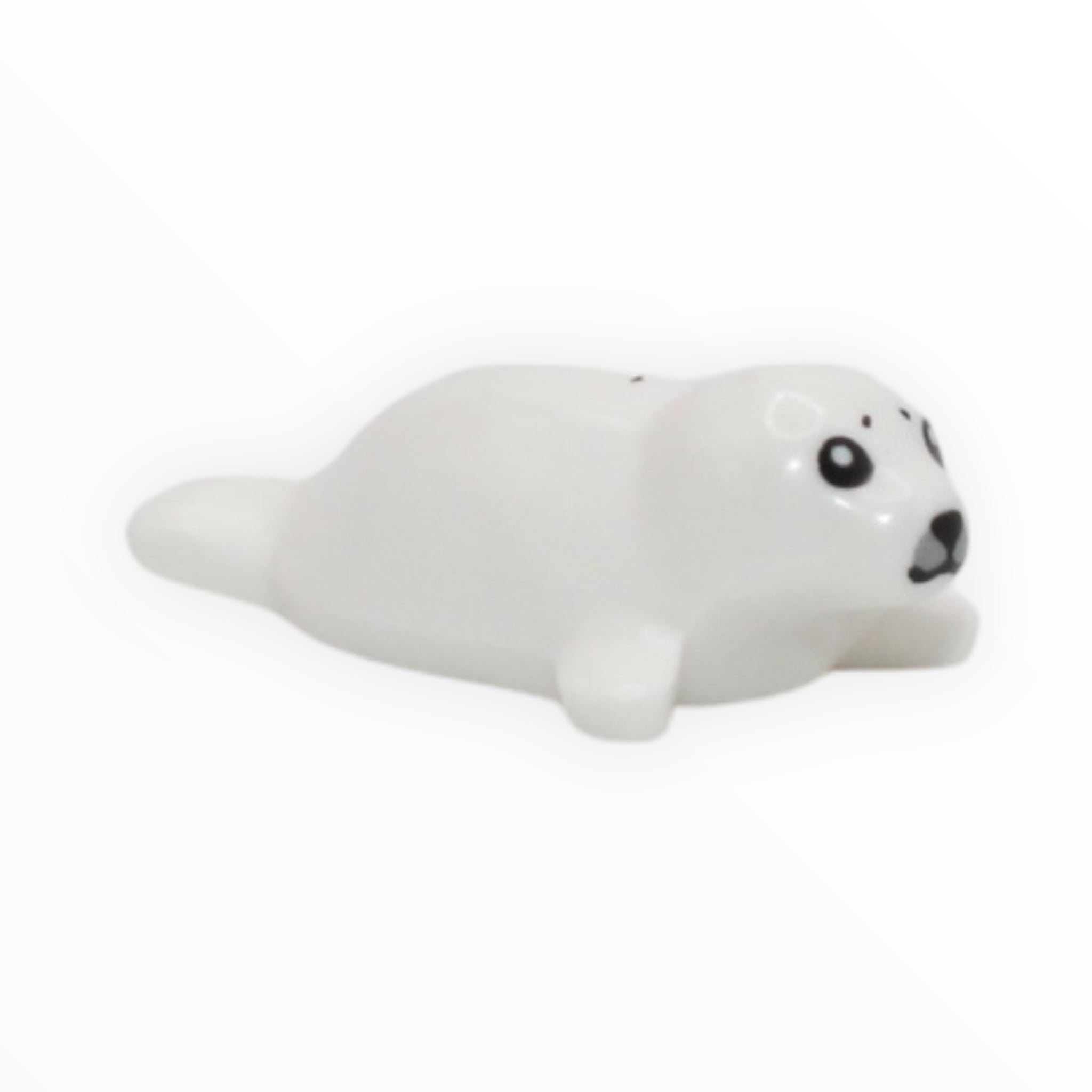Baby Seal