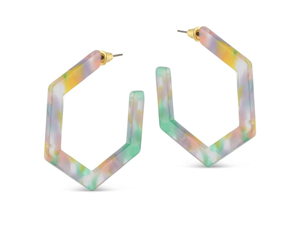Scarlett Large Resin Hexagon Earrings