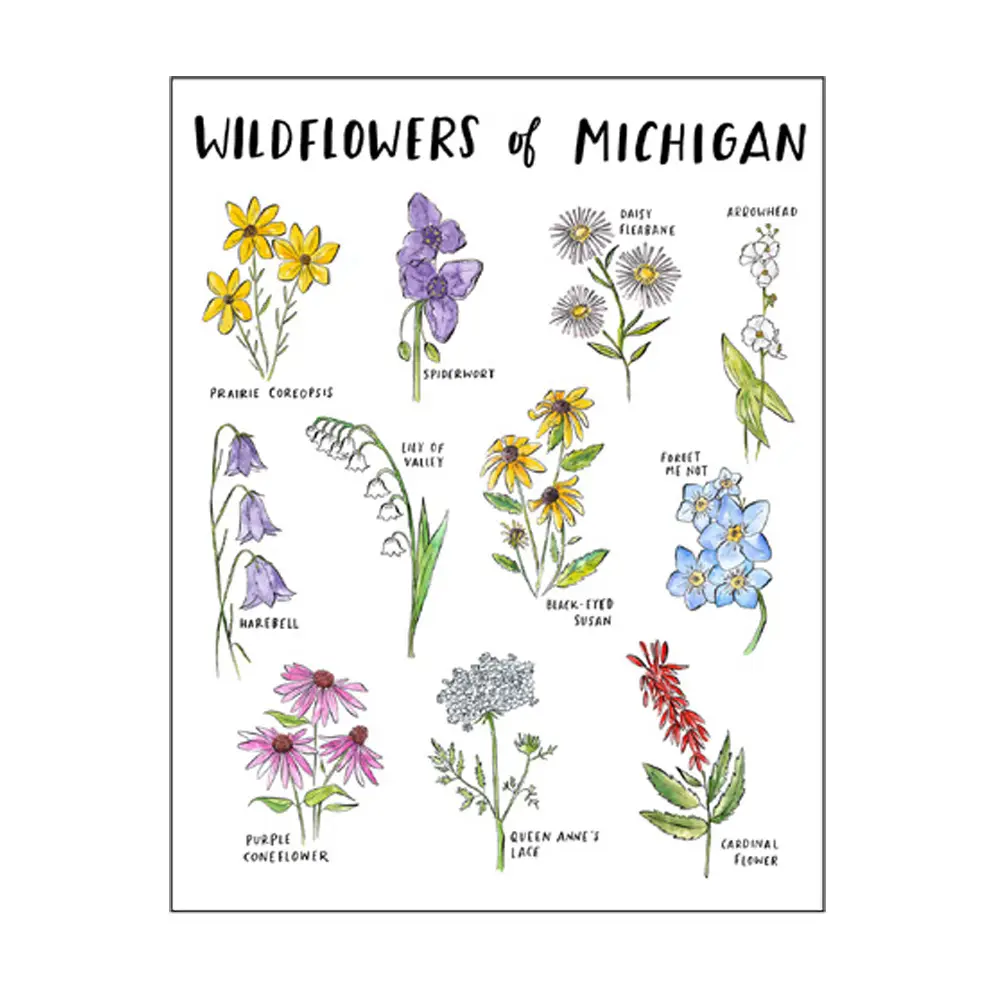 Wildflowers of Michigan Blank Greeting Card