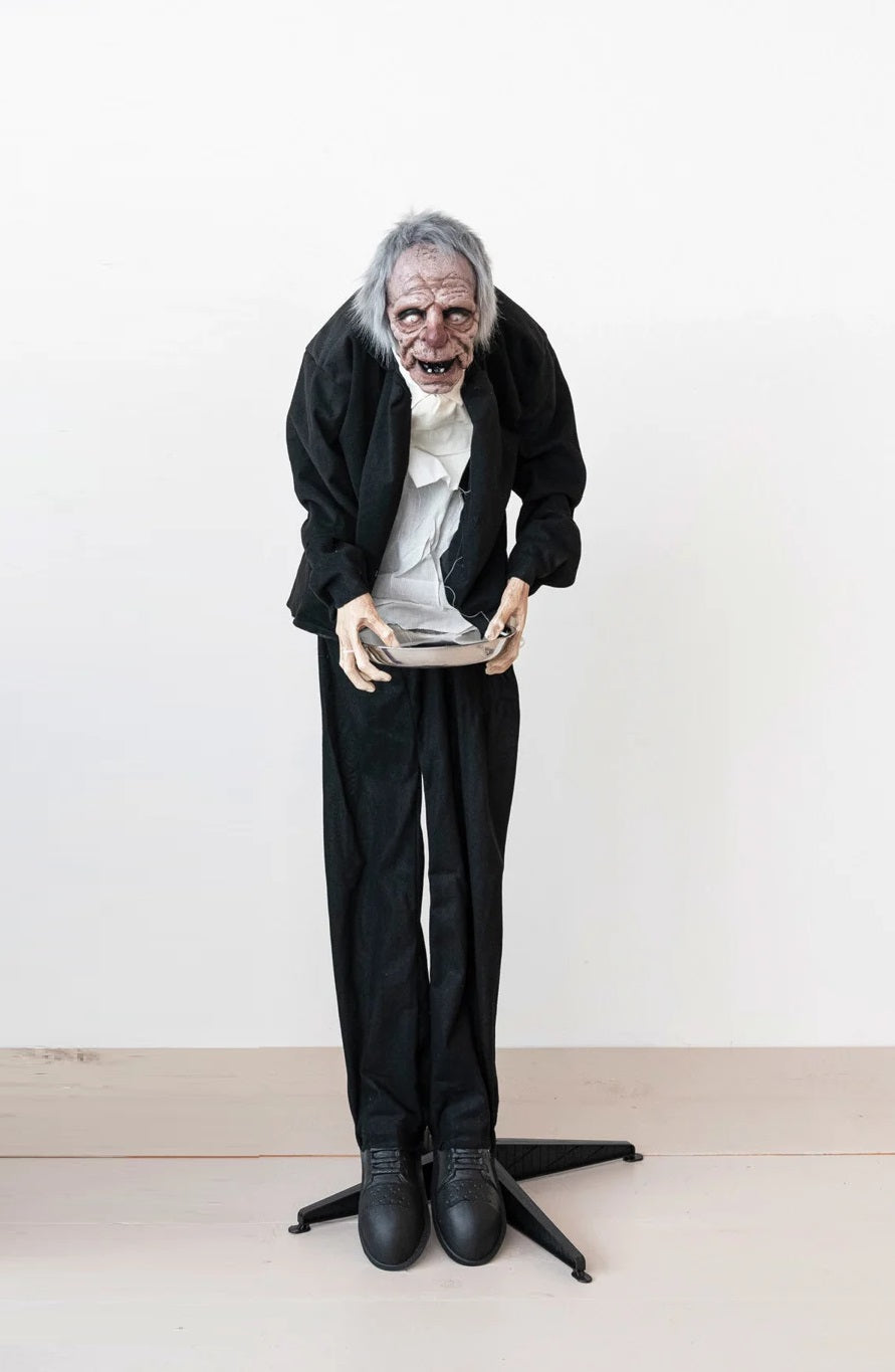 Motion Activated Butler