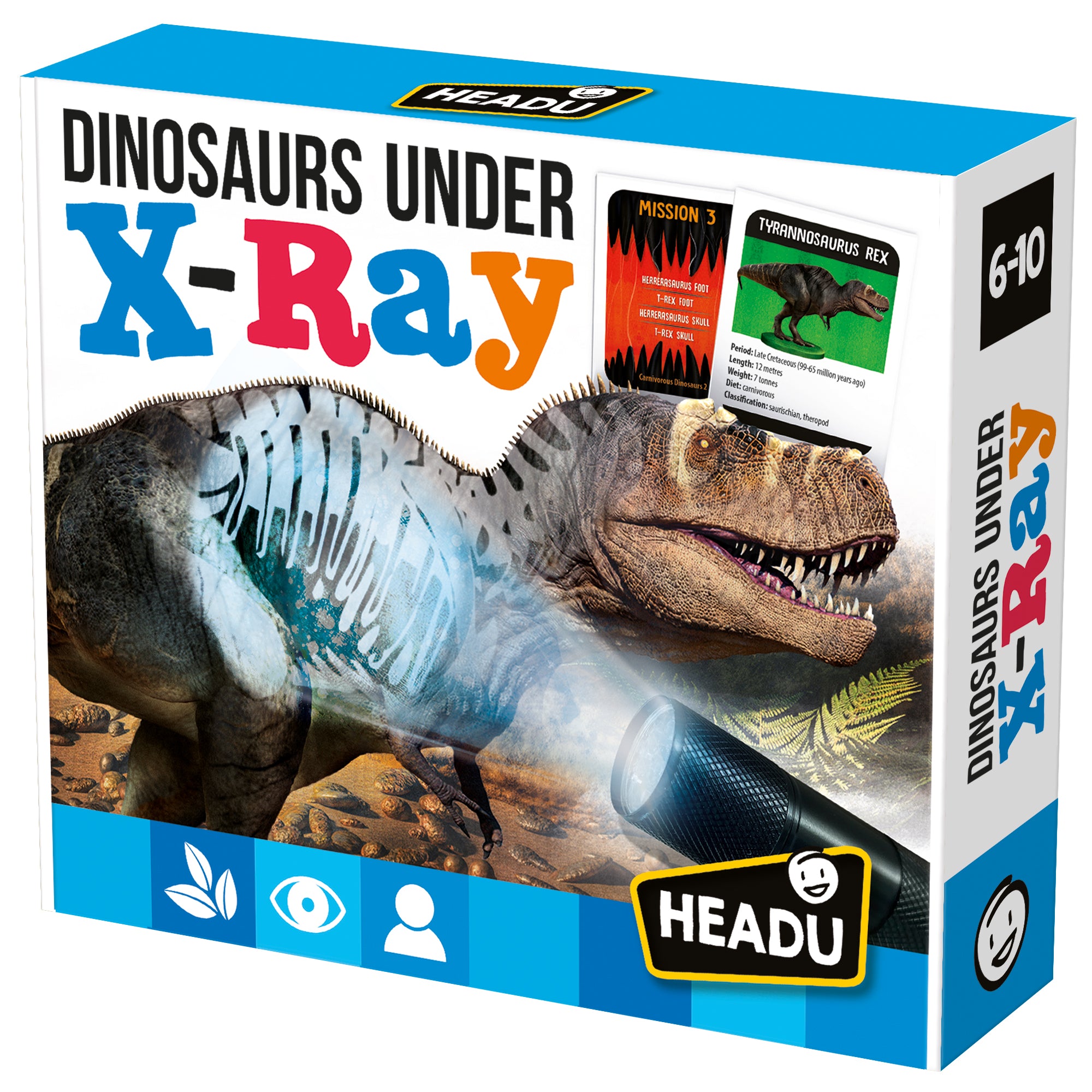 Dinosaurs Under the X-Ray