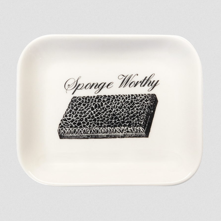 Sponge Worthy Tray