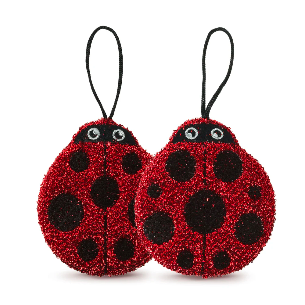 Cleanings Ladies Dish Sponges