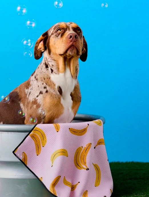 Dog Towel / Click for Patterns