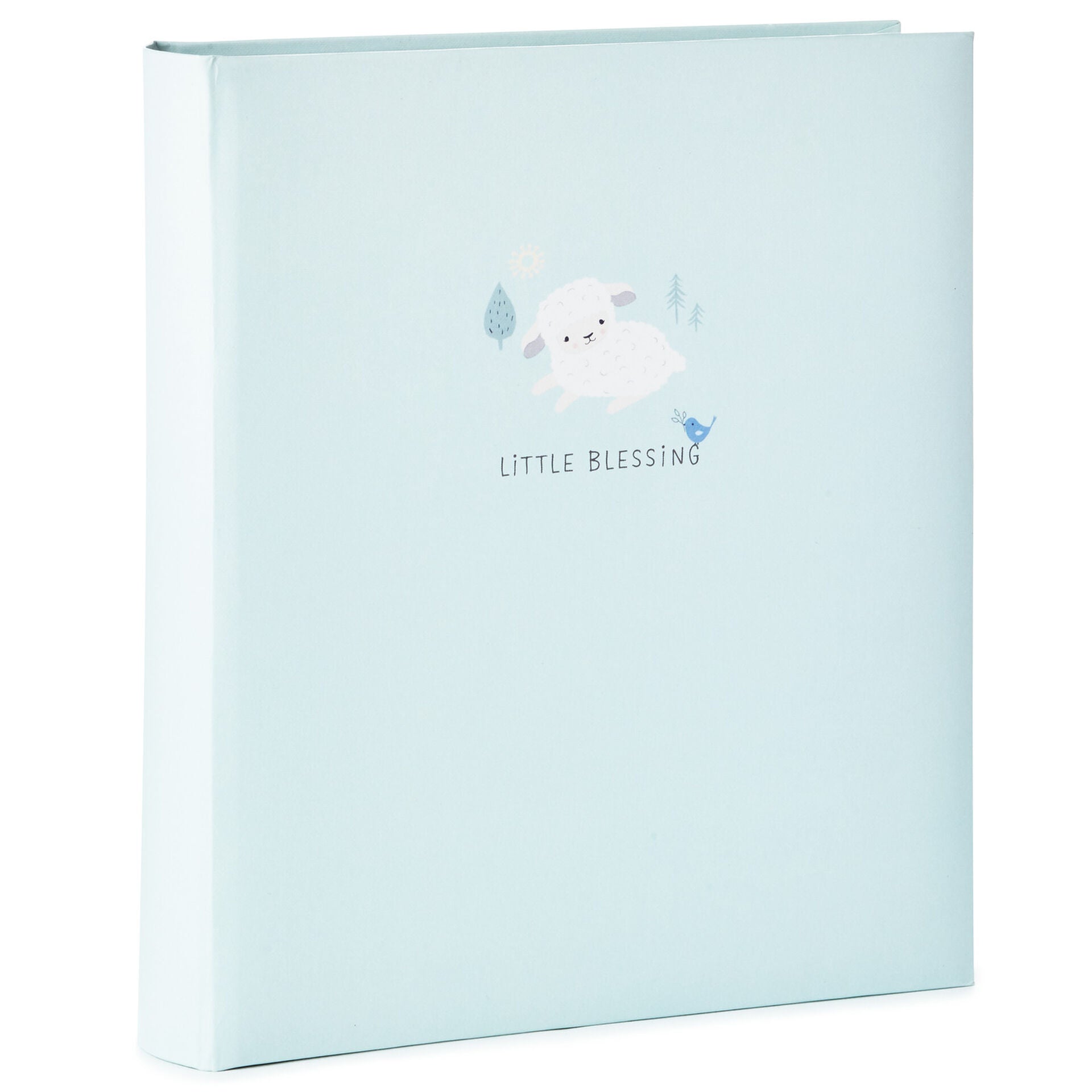 Little Blessings First Five Years Baby Book