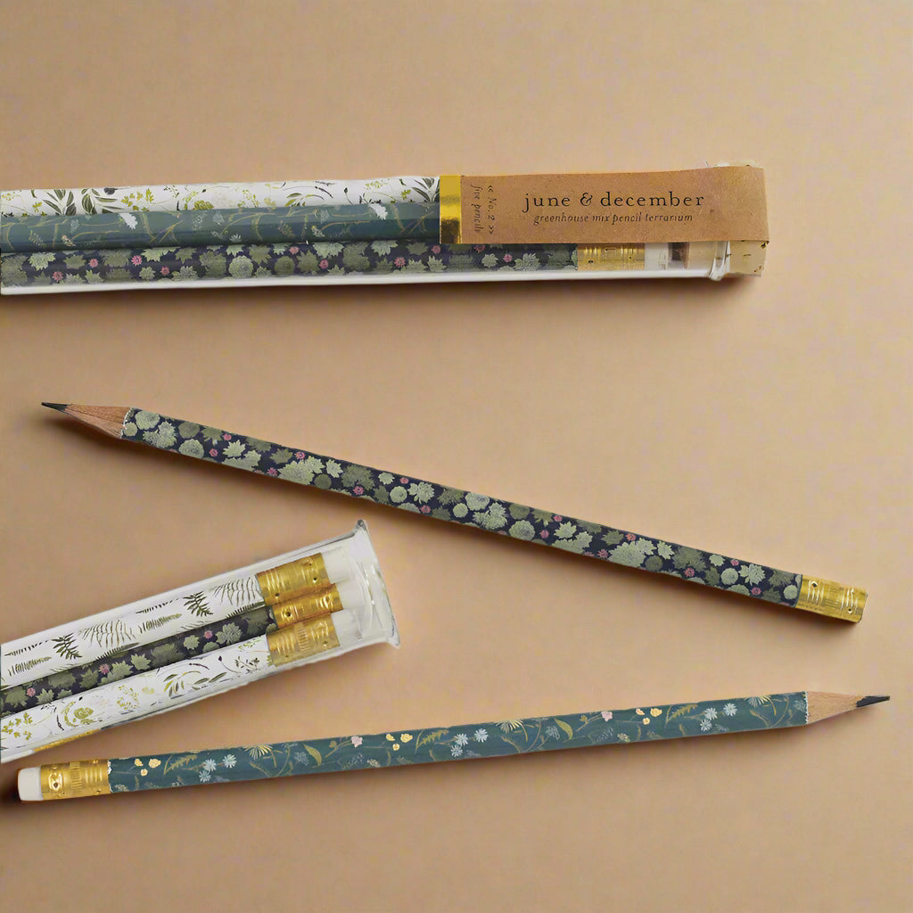 Pencil Terrarium | Greenhouse Mix