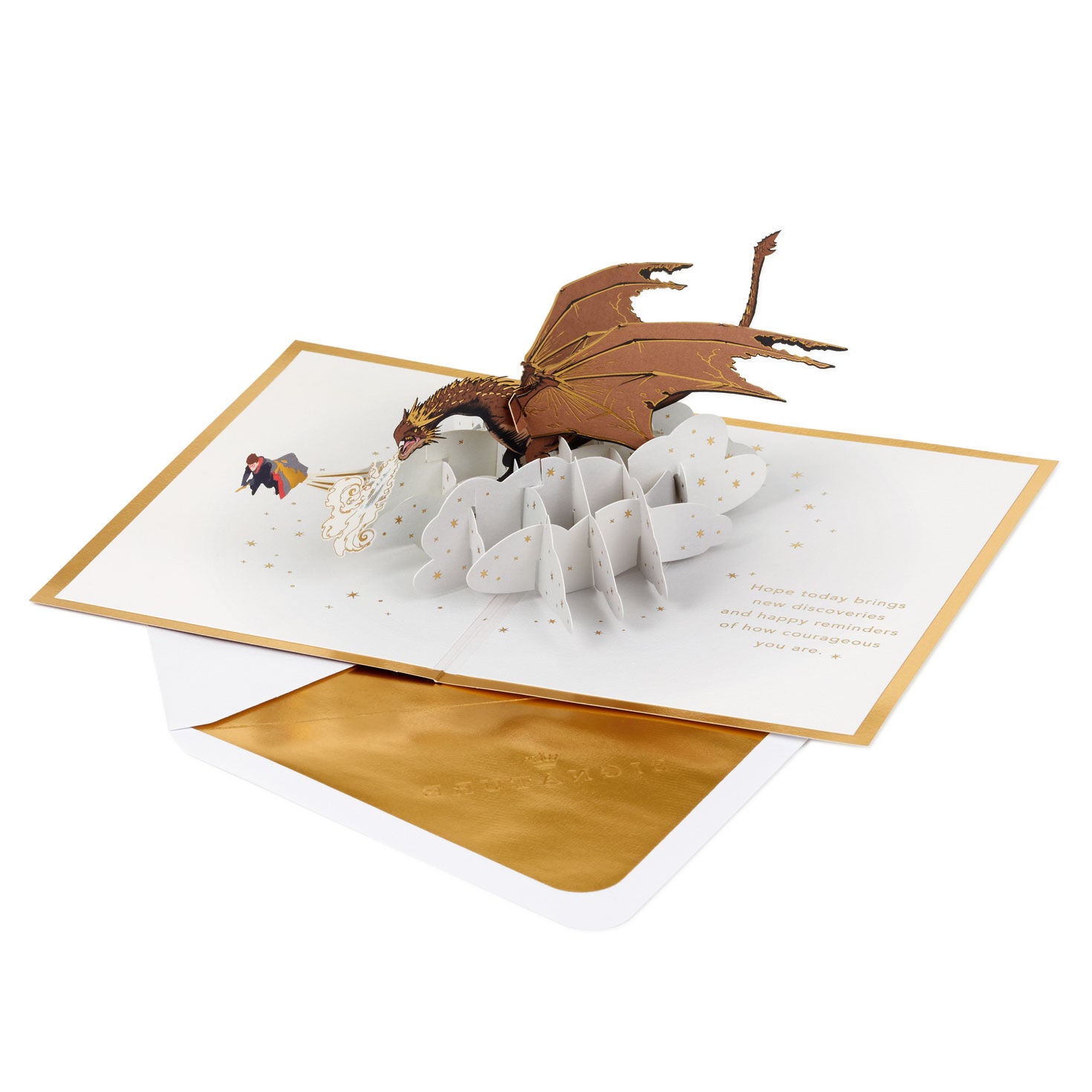 Harry Potter™ Brave Day 3D Pop-Up Thinking of You Card