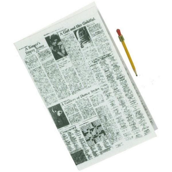 Dollhouse Miniature Newspaper with Pencil