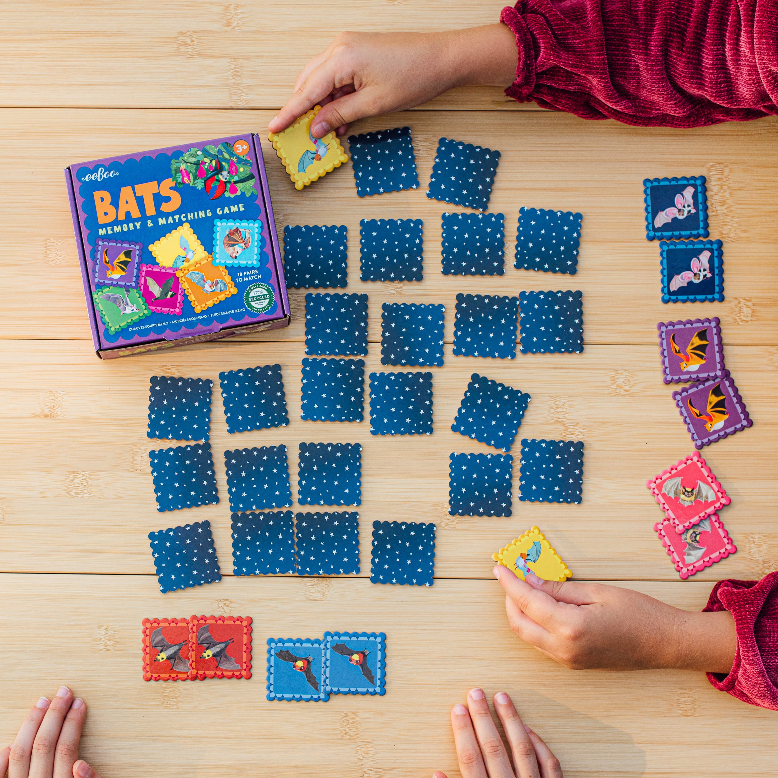 Bats, Little Square Matching Game