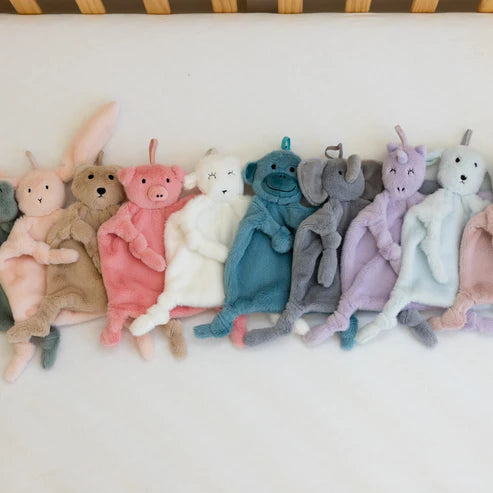 Pacifier Buddy Assorted