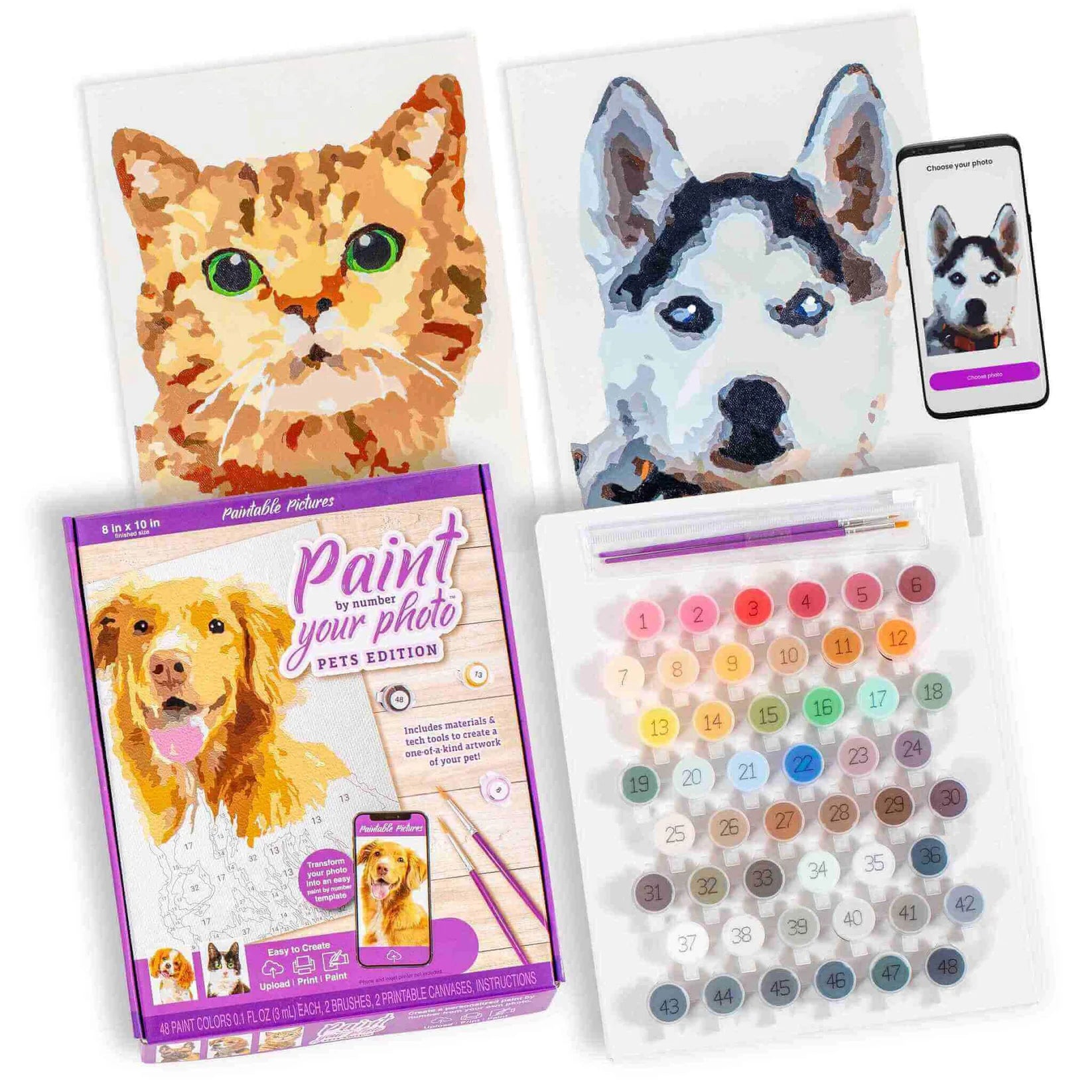 Paint Your Photo - Pets Edition