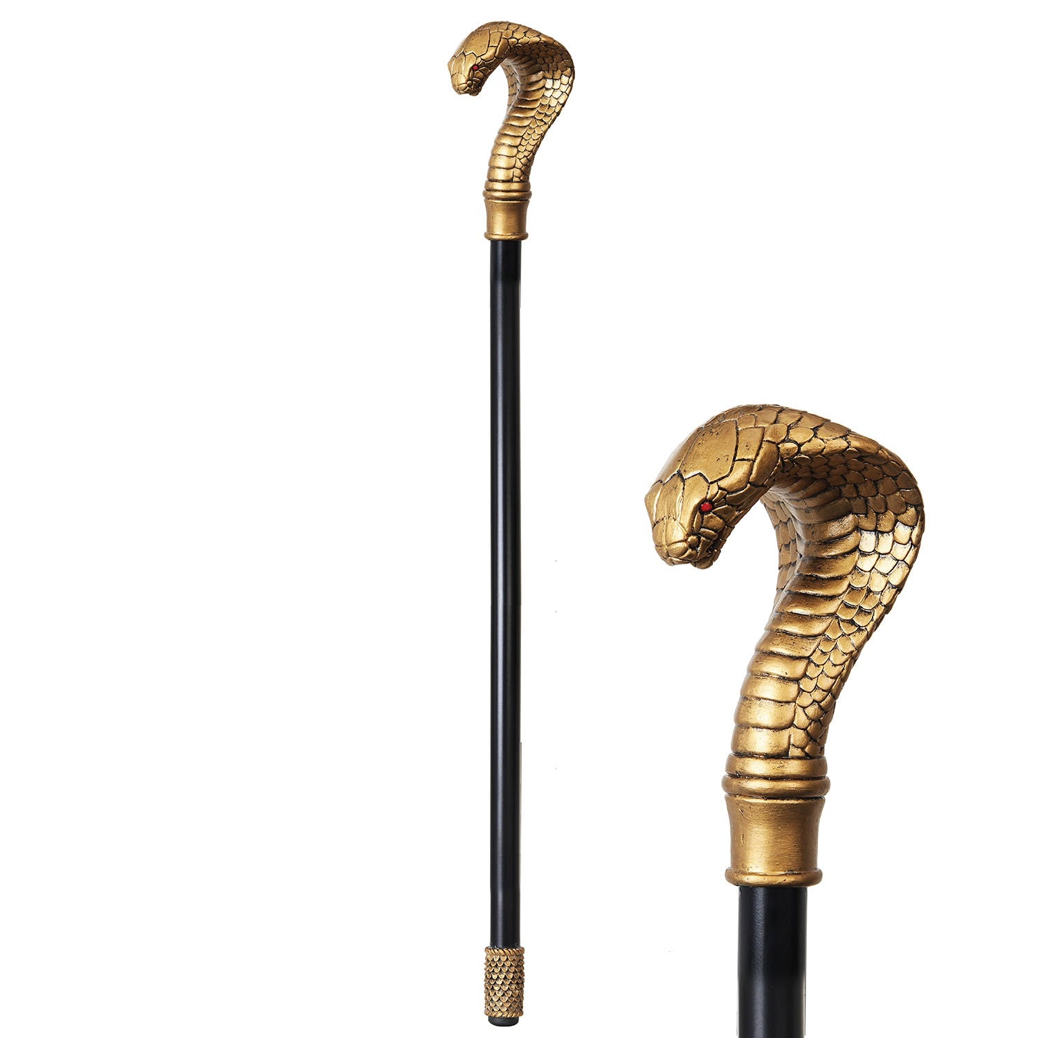 Cobra Costume Cane