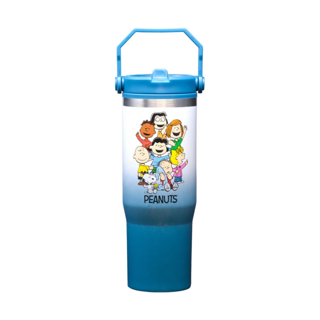 Peanuts Group 30oz Stainless Steel Bottle