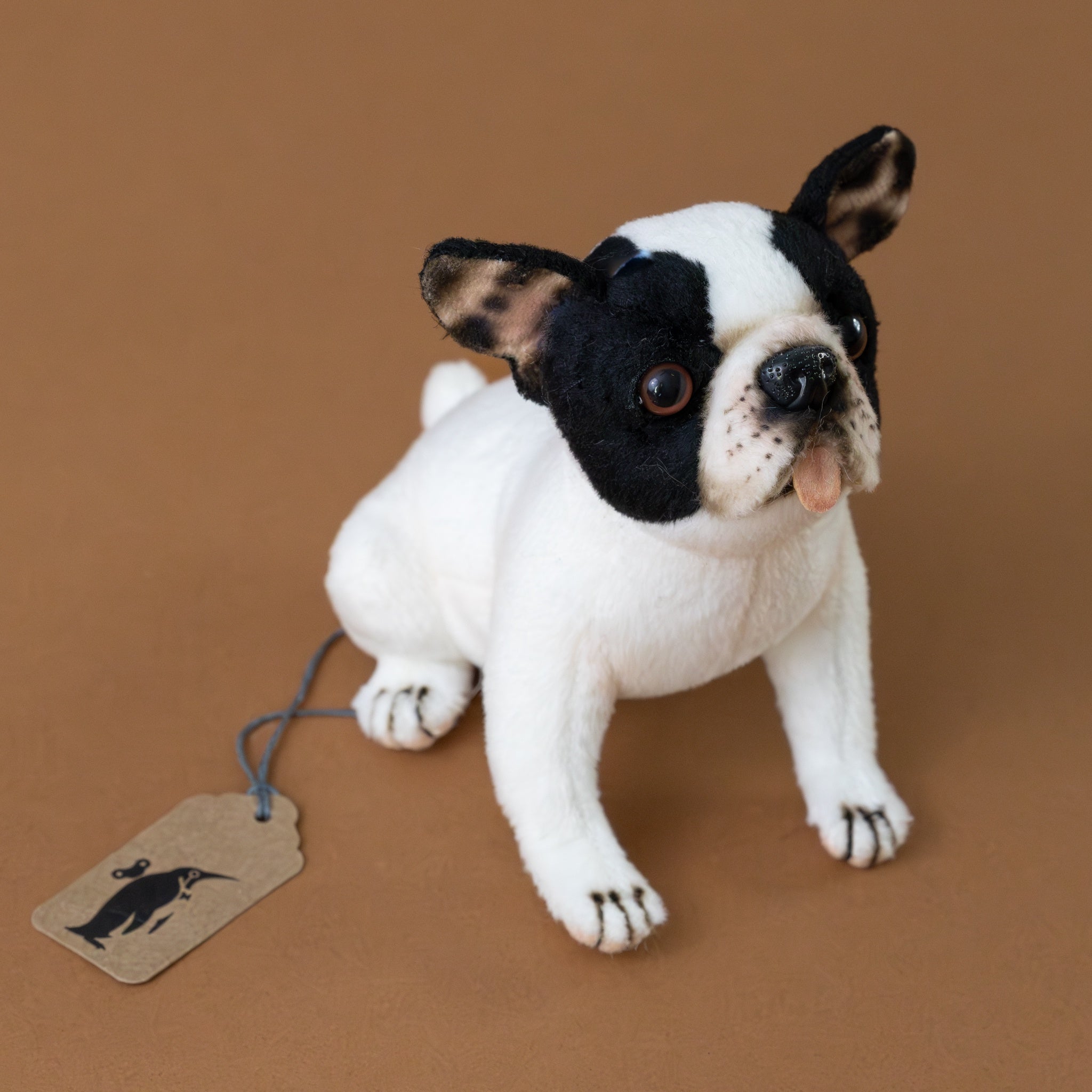 Petite French Bulldog
