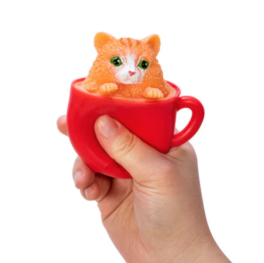 Pop a Chino Kitties
