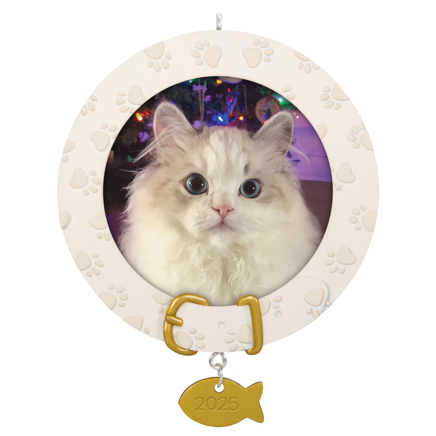 Furry Friend 2025 Photo FrameOrnament