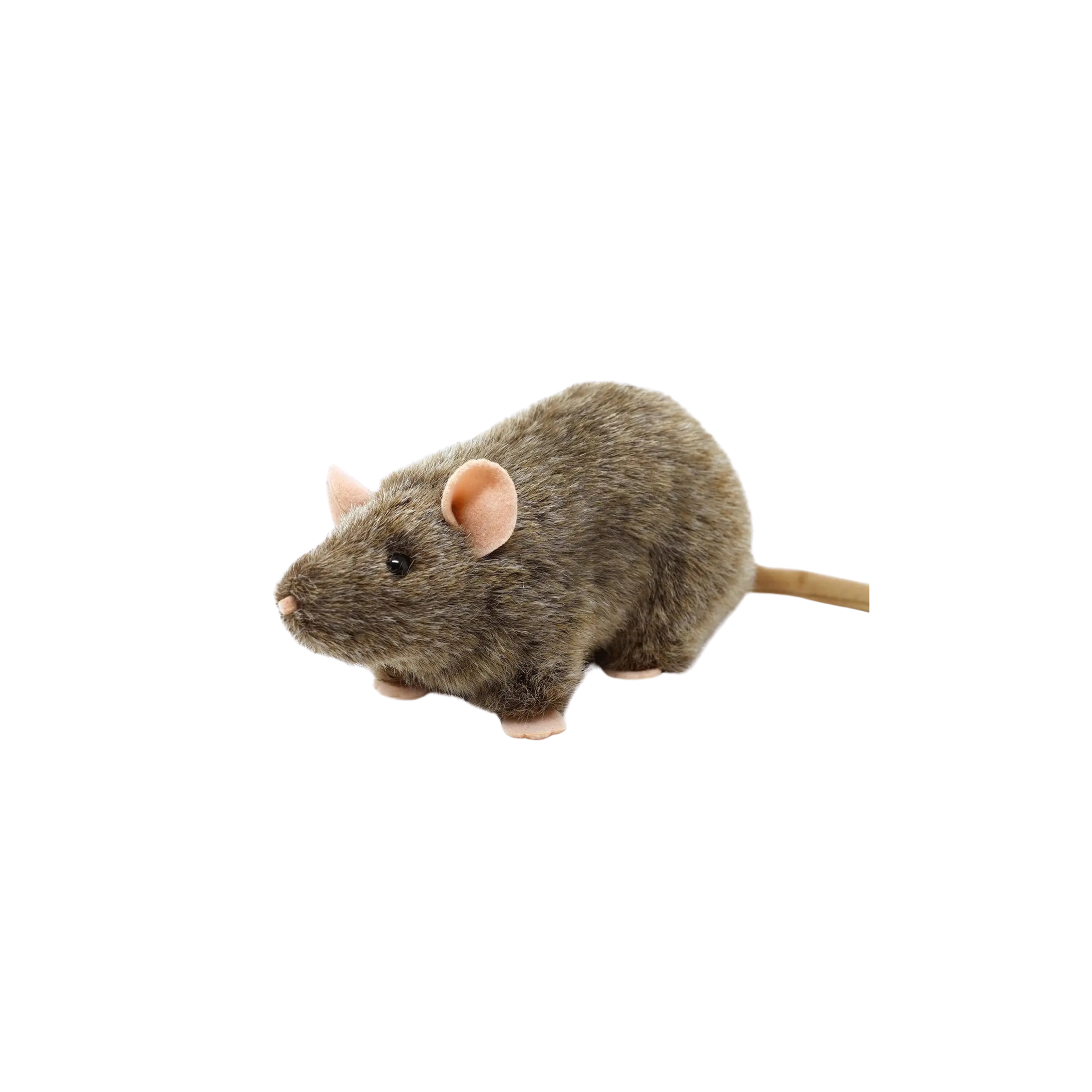 Reuben The Rat