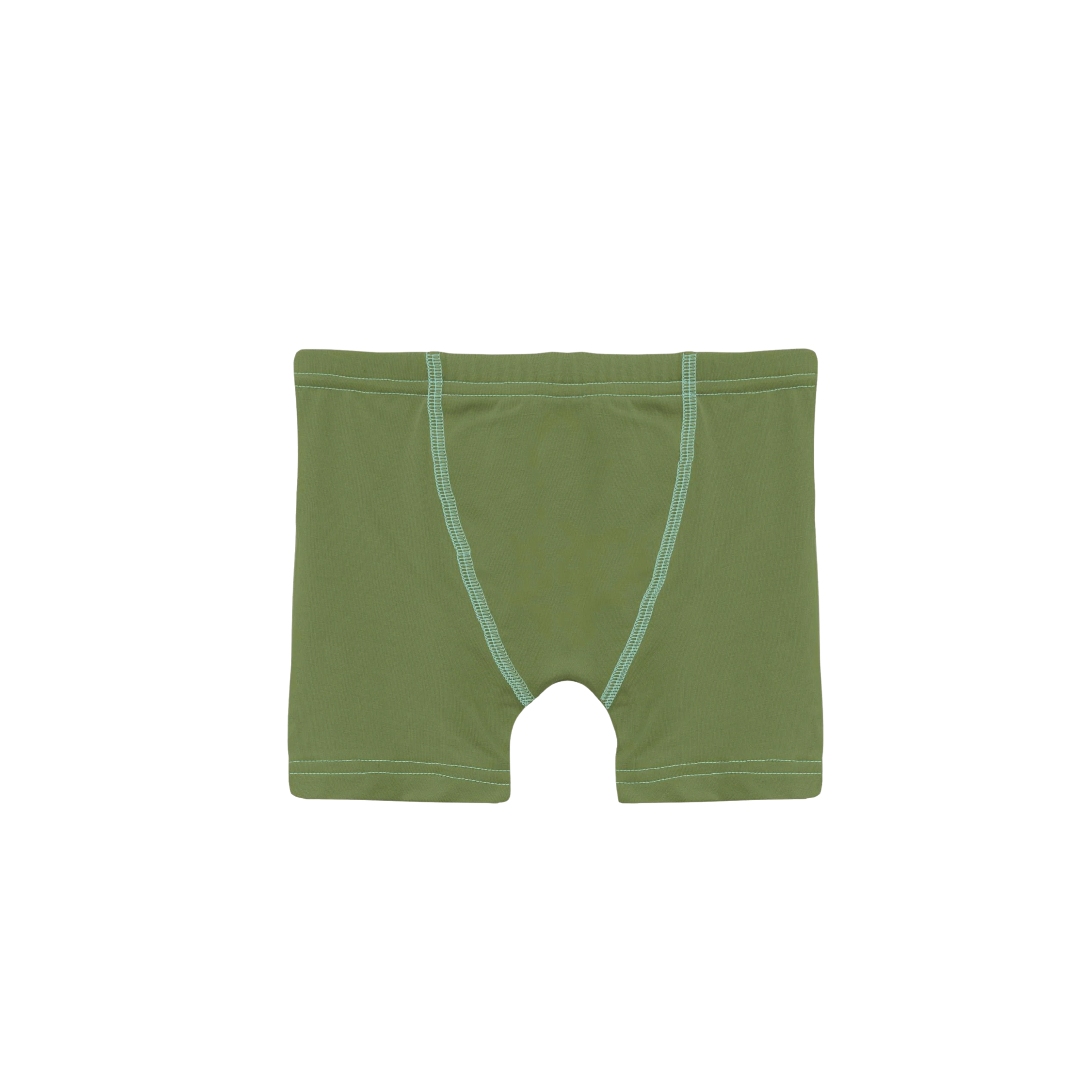Summer Sky Grasshopper Print Boys Briefs