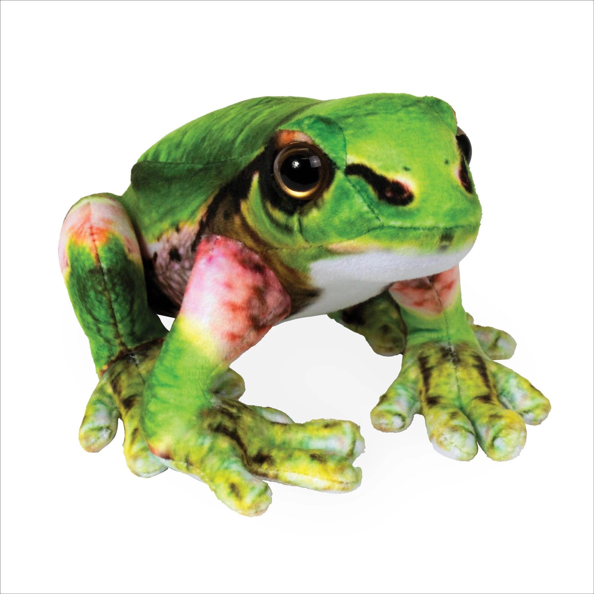 Japanese Tree Frog 8"