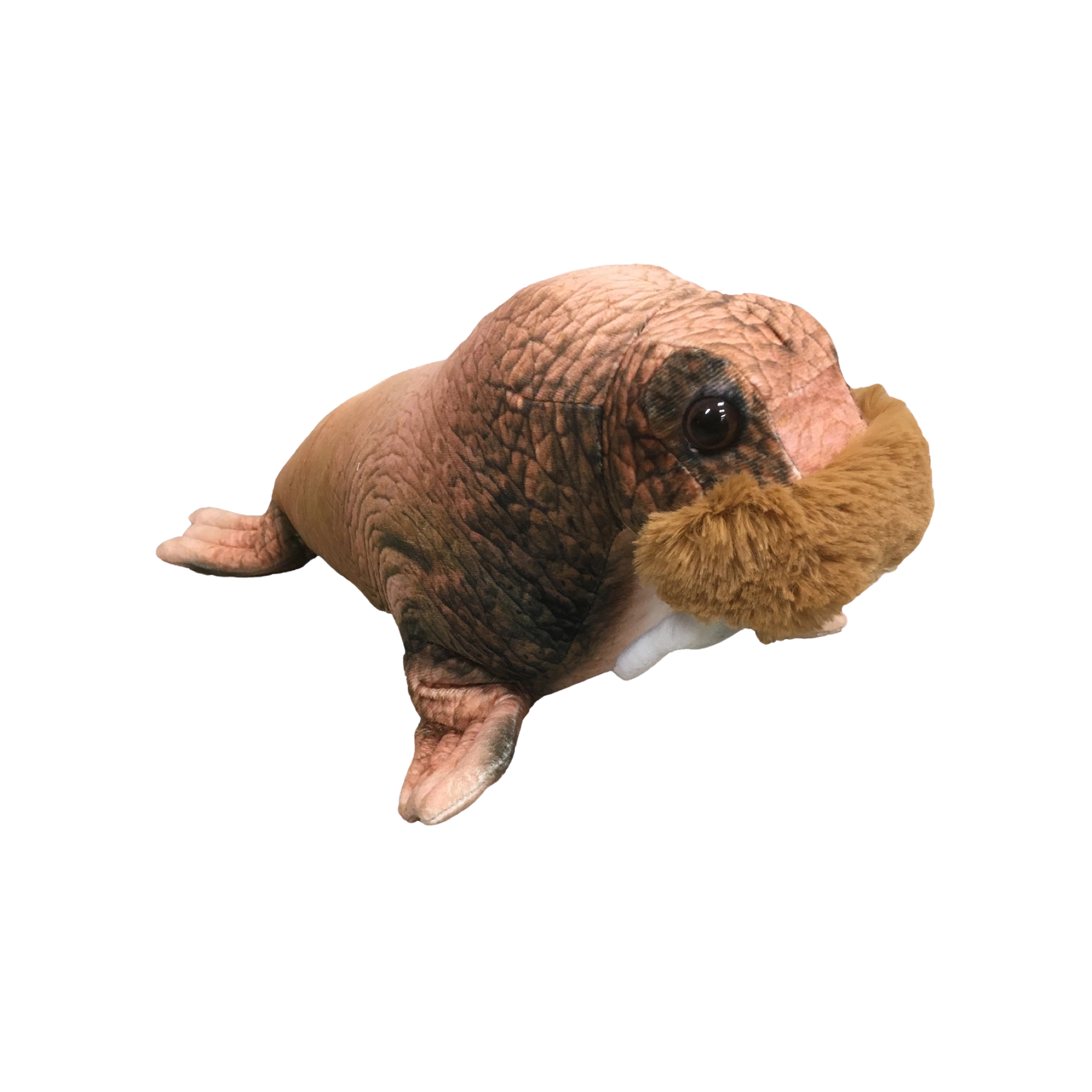Walrus Plush