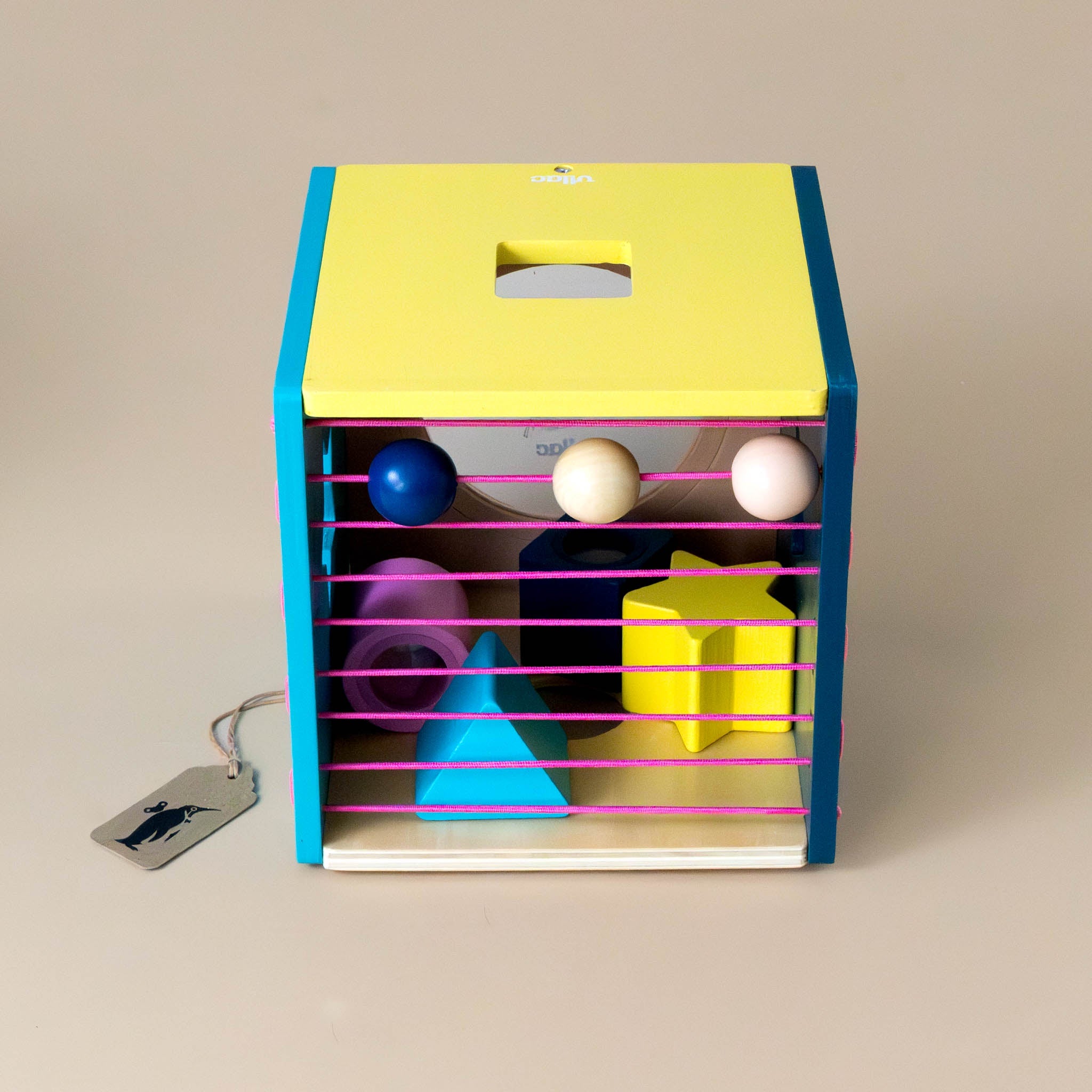 Wooden Chameleon Shape Sorting Box
