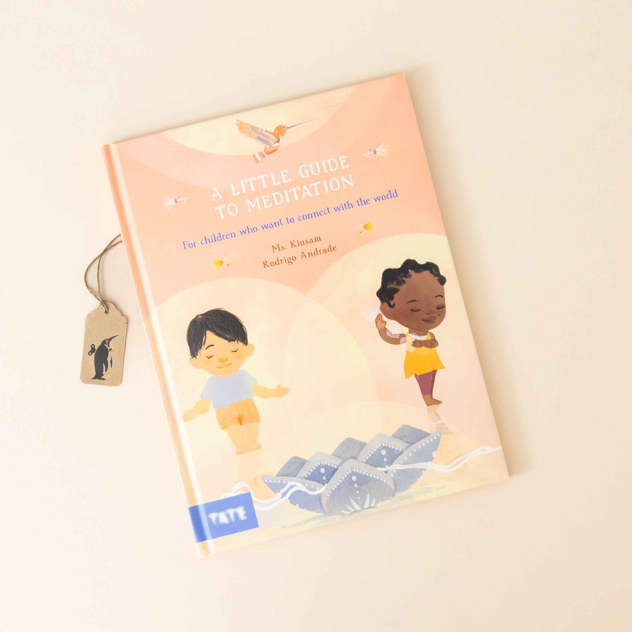 A Little Guide to Meditation