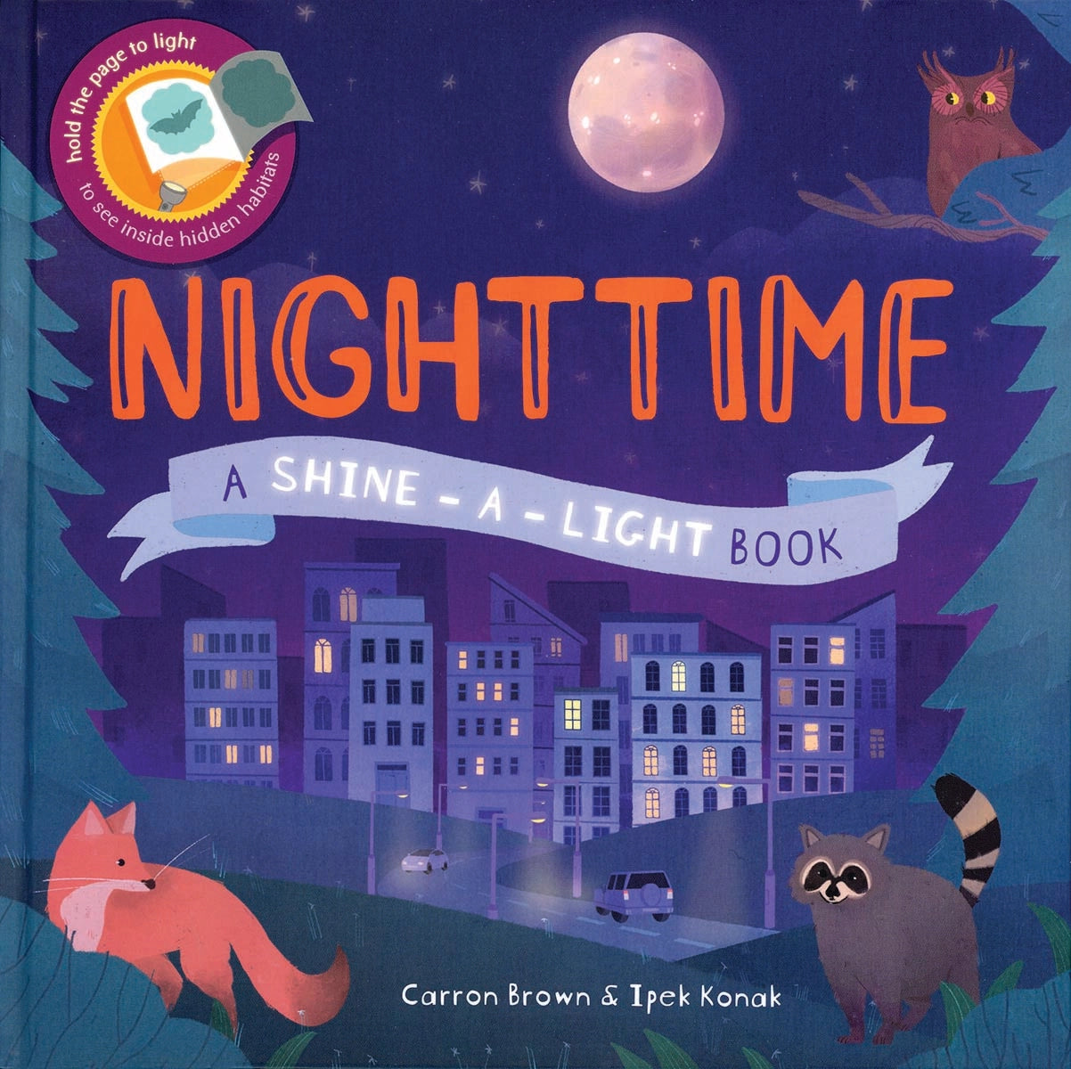 Nighttime Shine-A-Light Book
