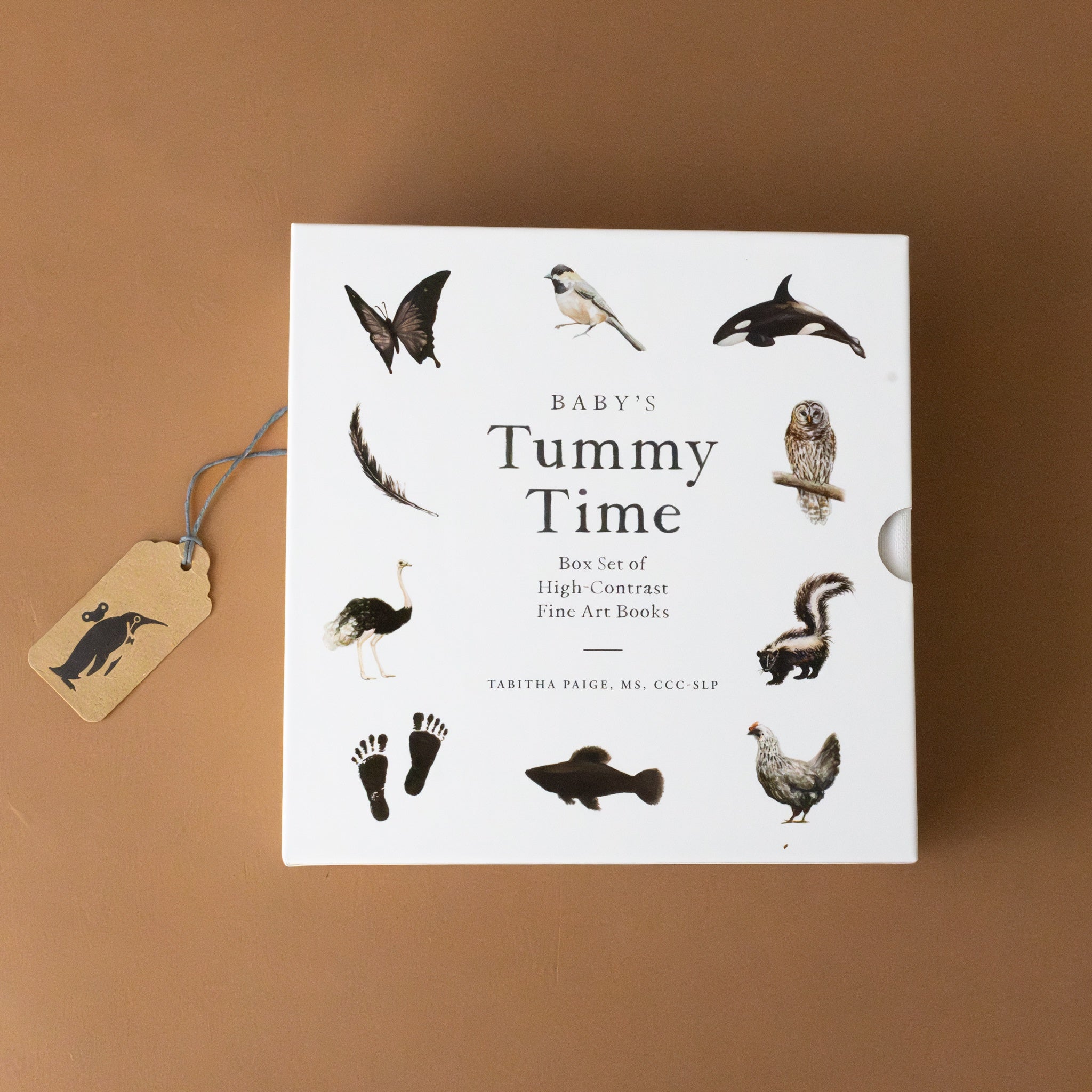 Baby's Tummy Time Book Box Set
