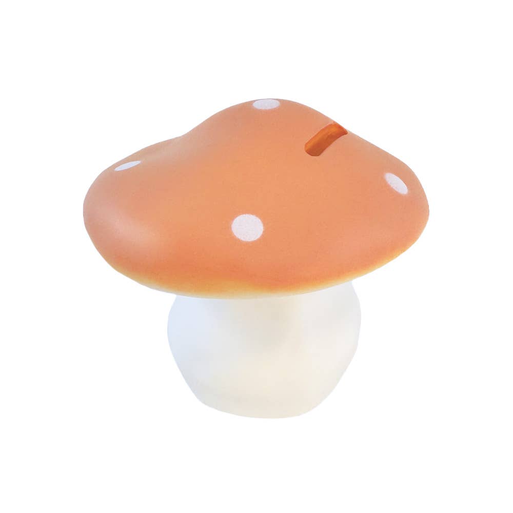 Mushroom Savings Bank: Terra