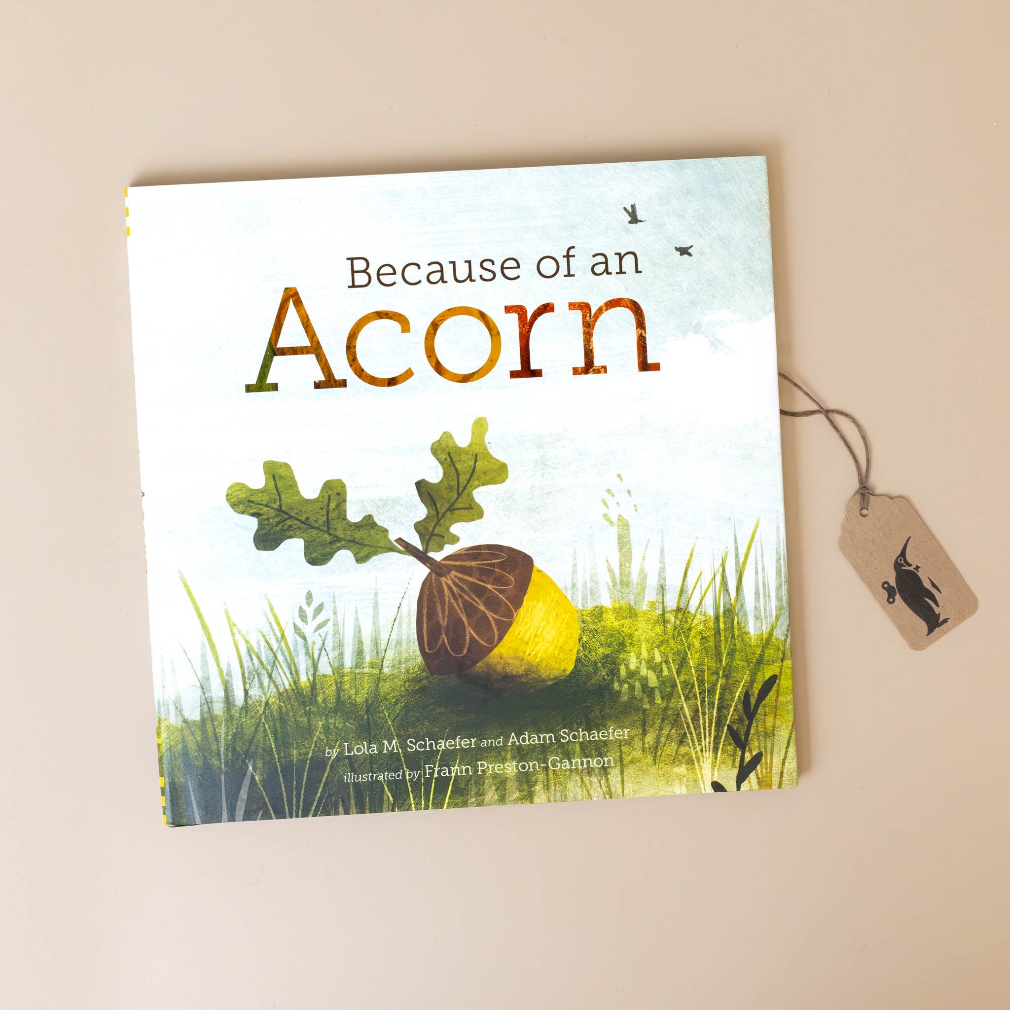 Because of an Acorn Book