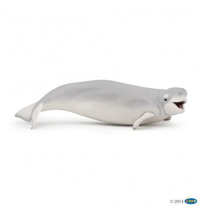 PAPO - Beluga Whale