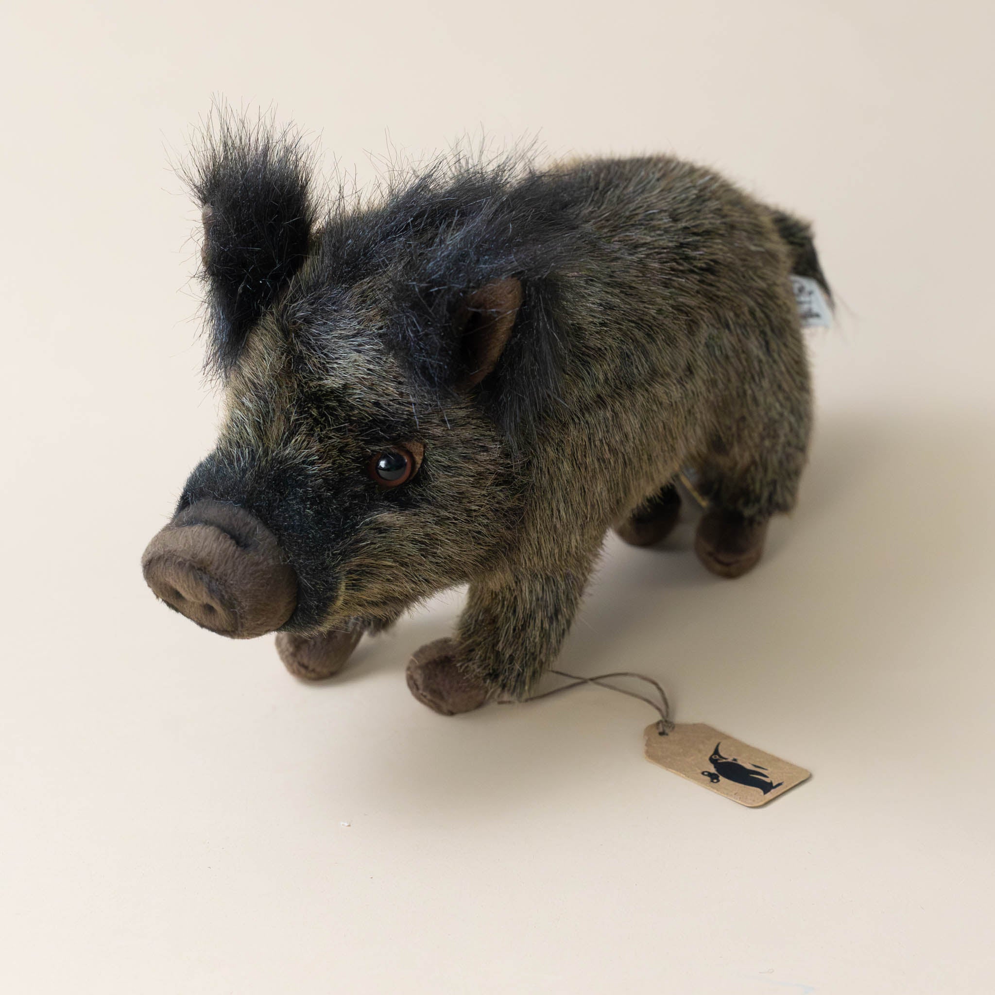 Boar Piglet | Standing