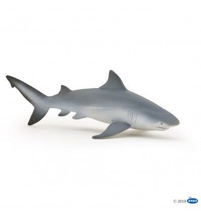 PAPO - Bull Shark