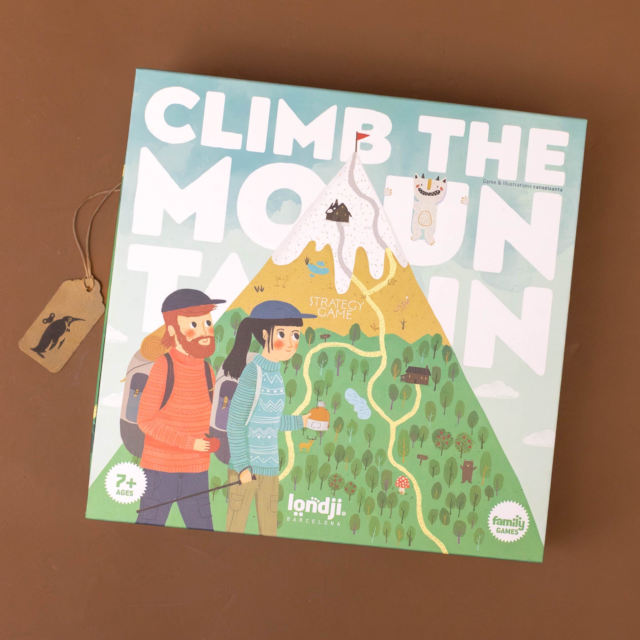 Climb the Mountain Family Game