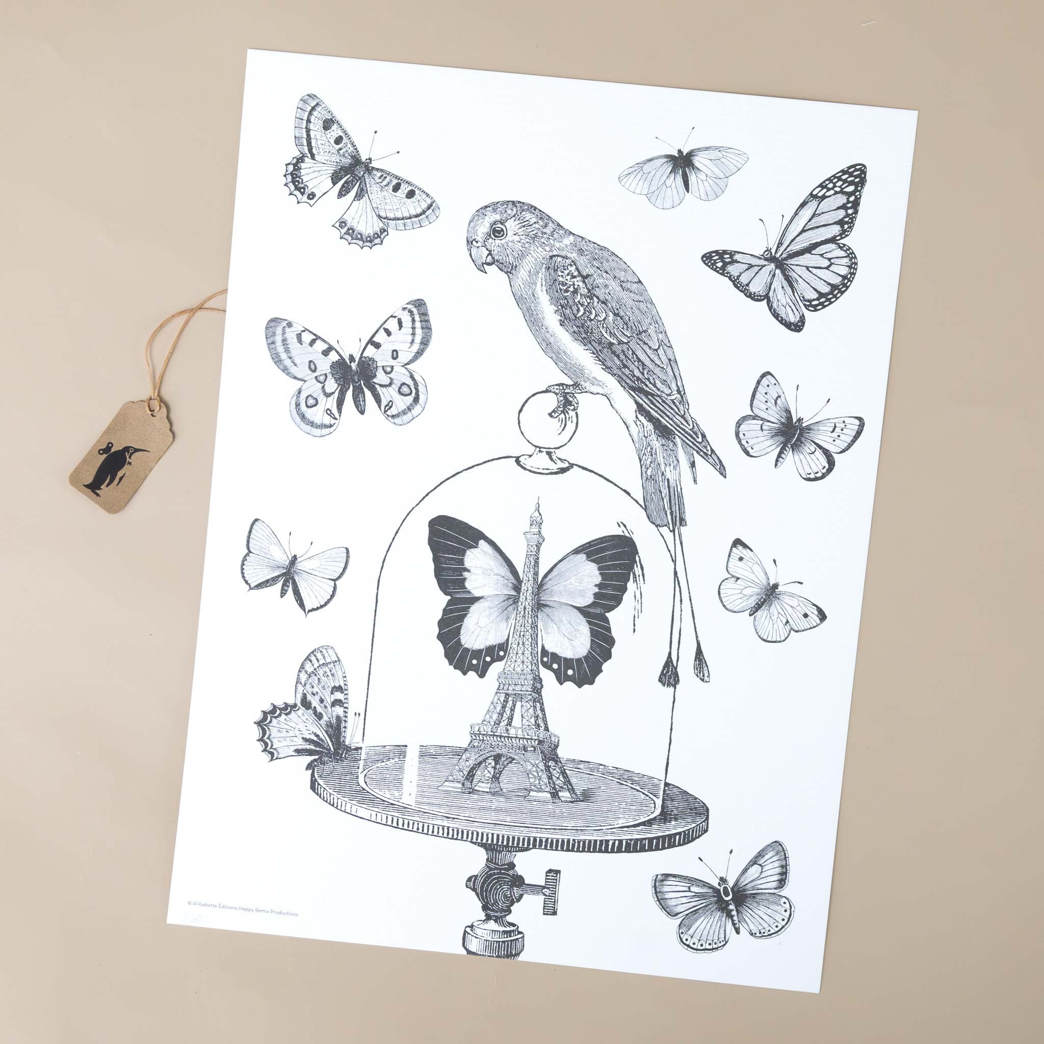 Color Your Own Engraving | Les Papillons