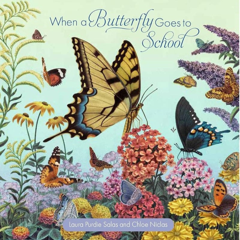 When a Butterfly Goes to School (Board book)